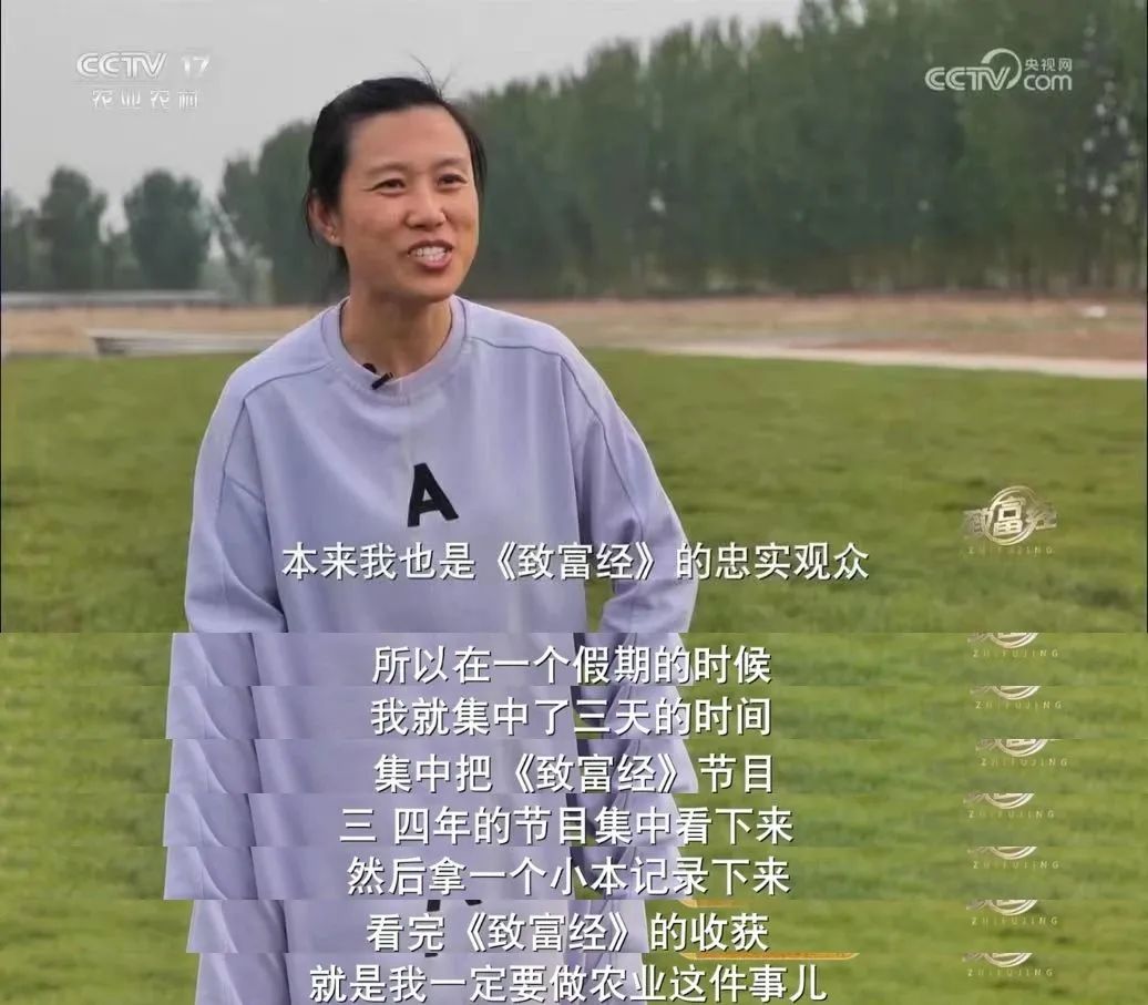 中央电视台的致富经旧节目翻新,致富经栏目在中央几台播出