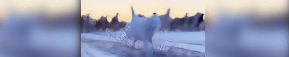 美媒美国国债首次超过32万亿美元,美媒美国国债高达31万亿美元