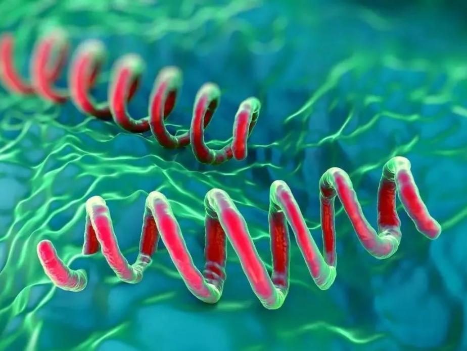 生理上怎么看男人有没有出轨,怎样从生理上看出男人有没有出轨