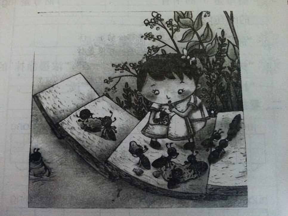 低年级看图写话通用句子大全,低年级看图写话量词