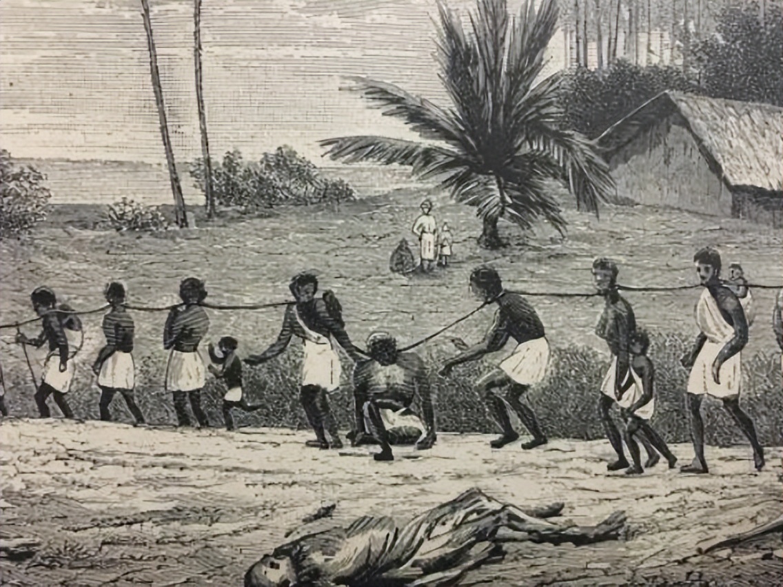 美国黑奴悲惨历史,80年代黑奴的血泪史电影