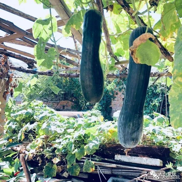 北京周围好玩的小镇,北京周边10个好玩小镇