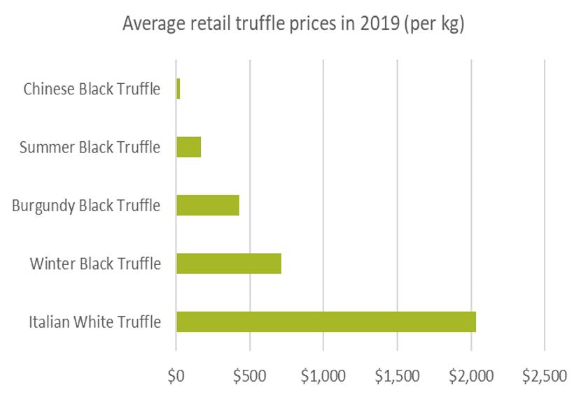 1块黑松露多少钱,黑松露白菜价