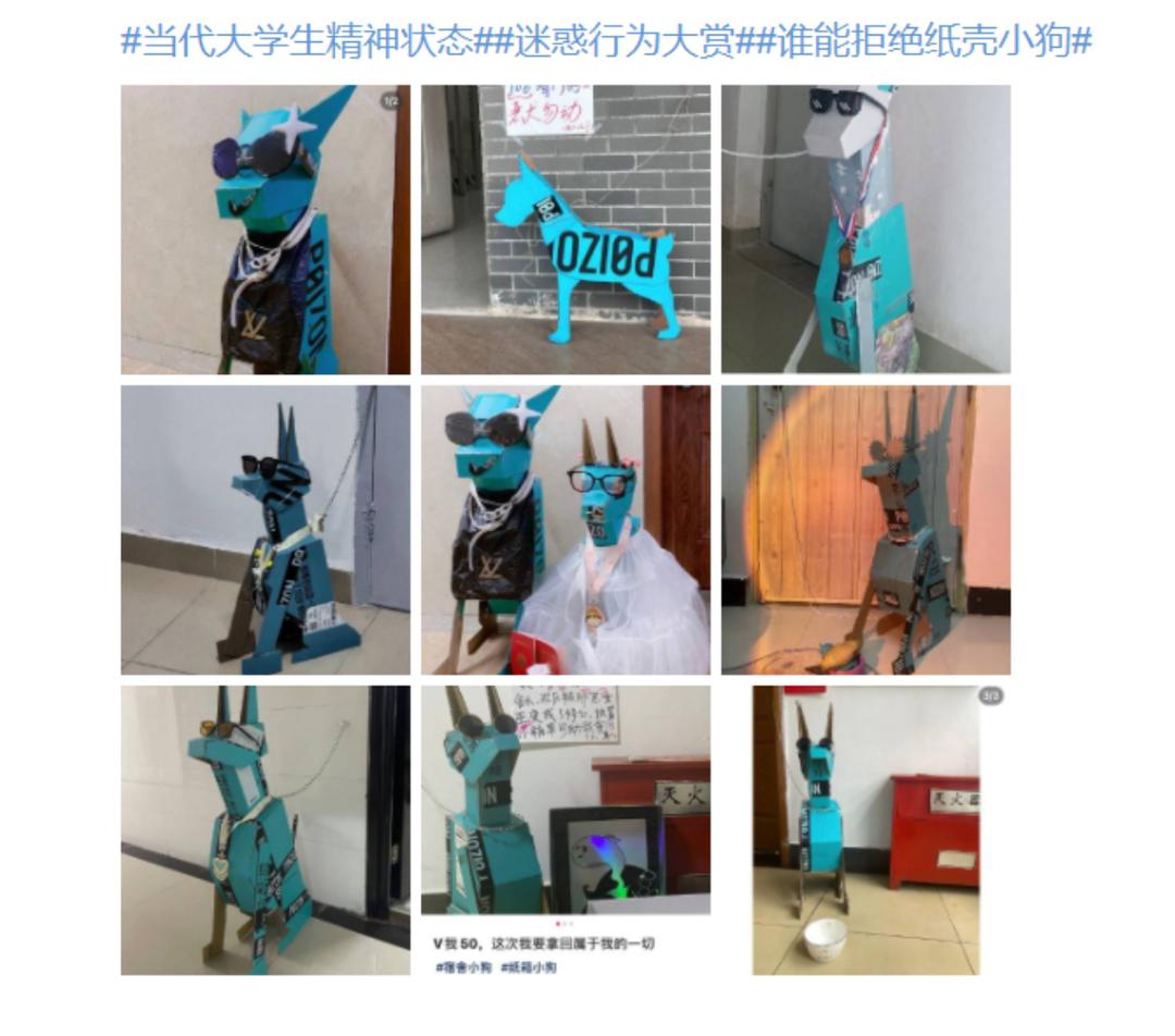 当代大学生的迷惑行为一个视频,纸箱手工制作教程可爱的小狗