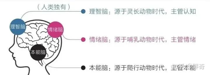 如何突破低效成长的“怪圈”，改变空虚内卷、低效麻木的状态？