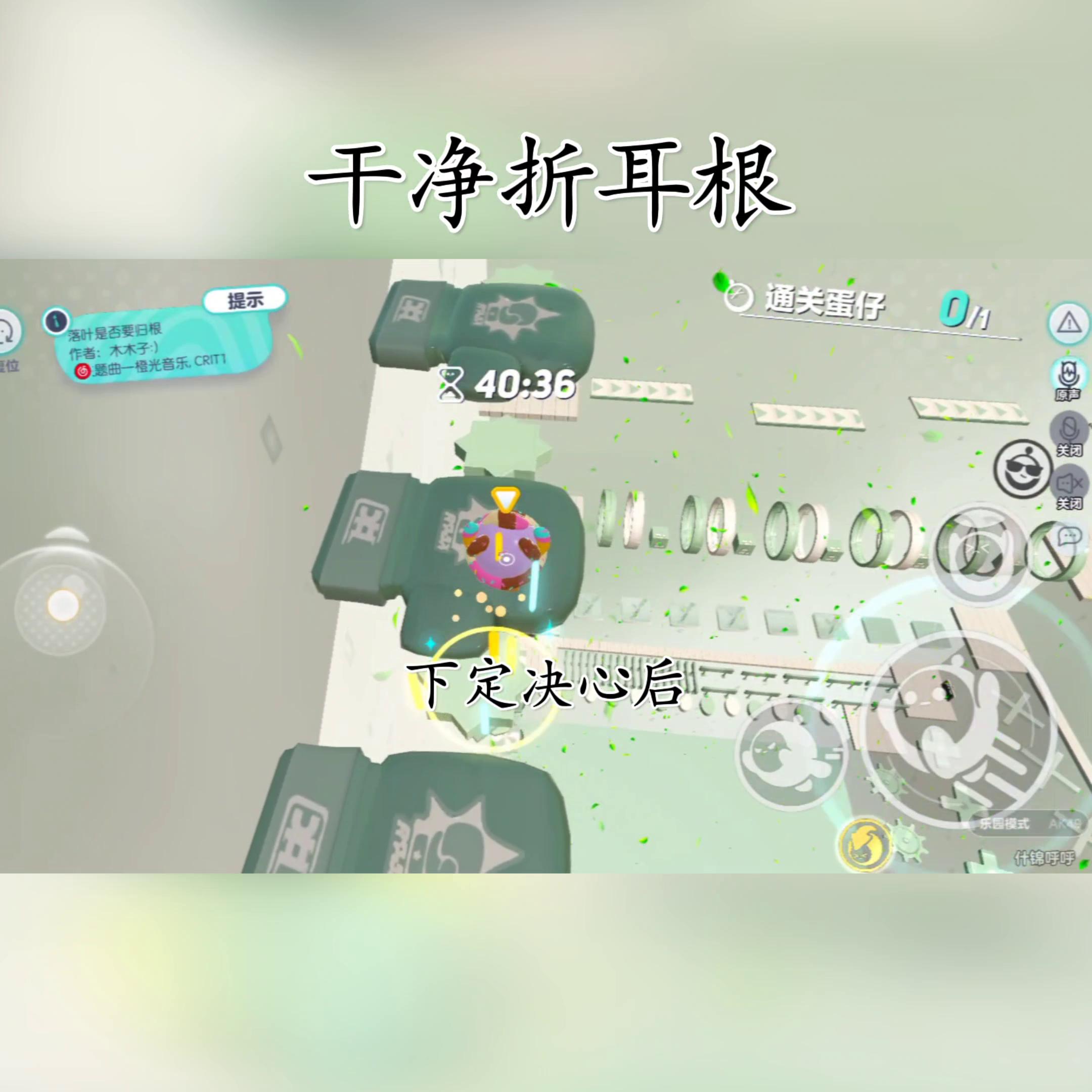 傻猫炸毛,炸毛傻猫知乎完整版