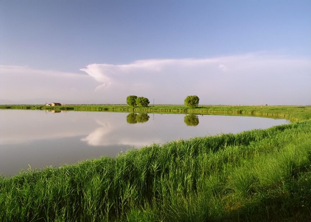 <html>
<head><title>502BadGateway</title></head>
<body>
<center><h1>502BadGateway</h1></center>
<hr><center>nginx</center>
</body>
</html>
<!--apaddingtodisableMSIEandChromefriendlyerrorpage-->
<!--apaddingtodisableMSIEandChromefriendlyerrorpage-->
<!--apaddingtodisableMSIEandChromefriendlyerrorpage-->
<!--apaddingtodisableMSIEandChromefriendlyerrorpage-->
<!--apaddingtodisableMSIEandChromefriendlyerrorpage-->
<!--apaddingtodisableMSIEandChromefriendlyerrorpage-->
