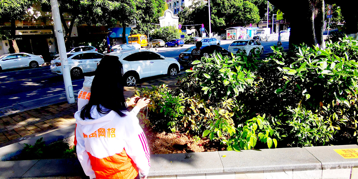 凝聚社区网格员助力基层社会治理,网格化社会治理创新工作亮点