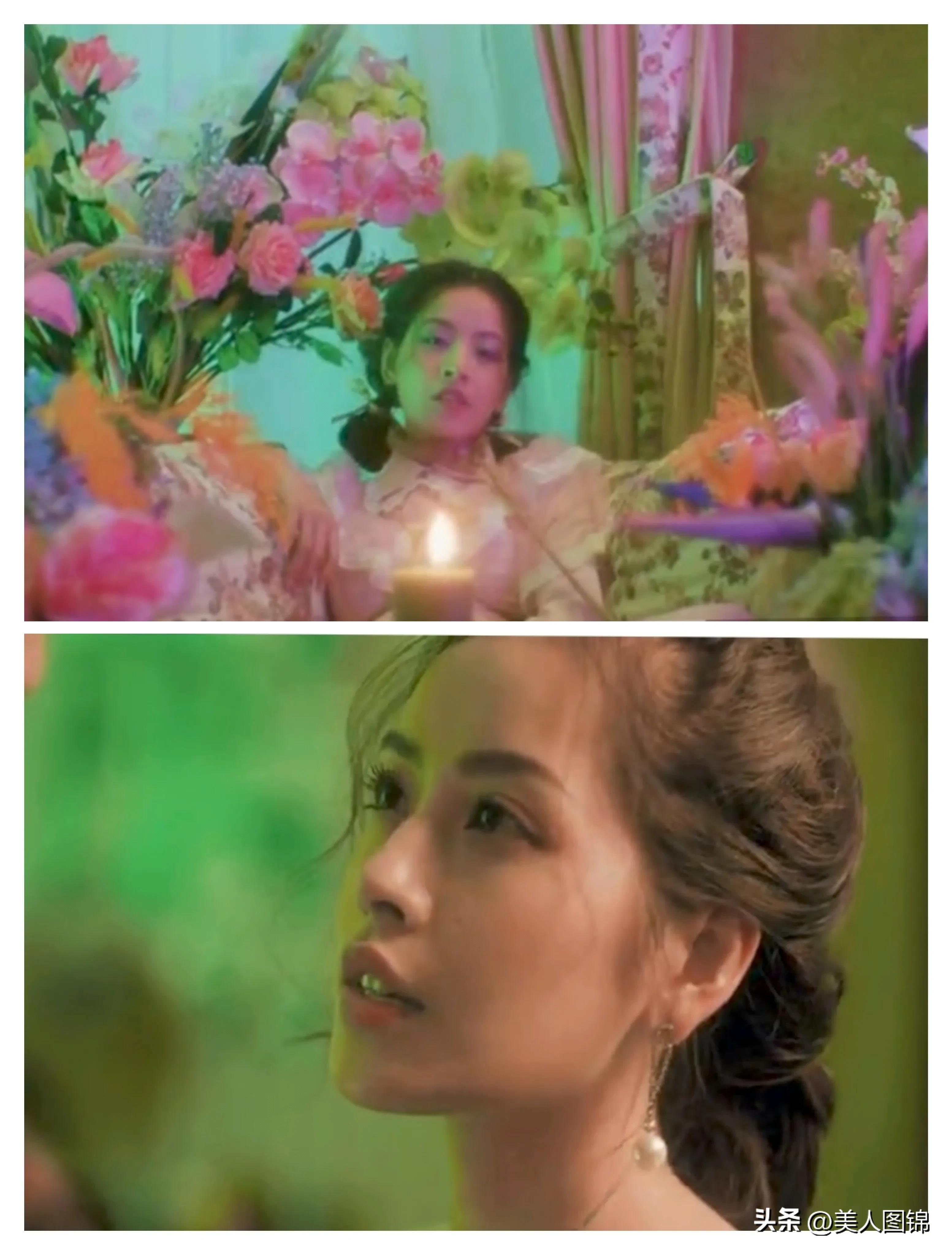 越南芝芙,芝芙越南