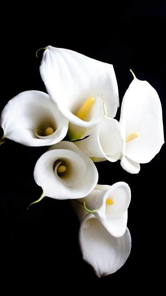 黑暗系的壁纸文字,黑暗色系的壁纸