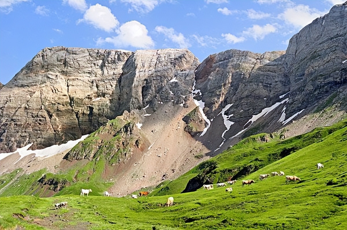法国移民概况介绍图,法国移民真实状况