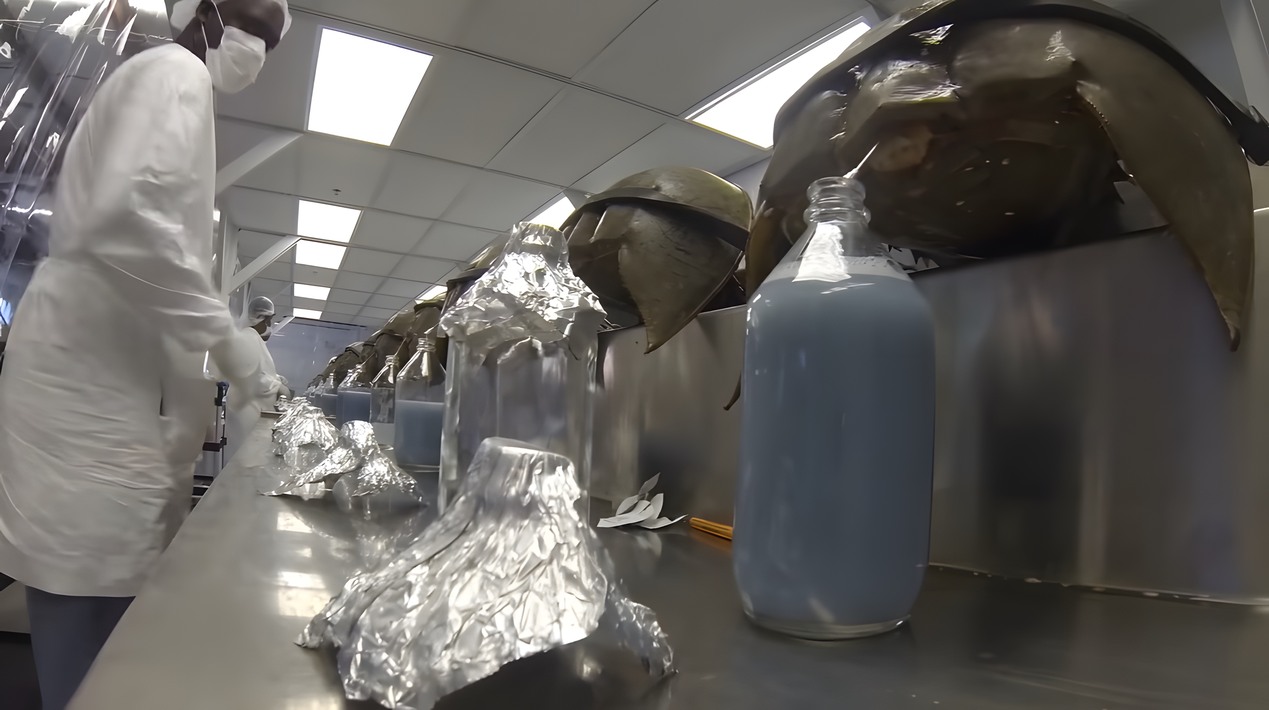 地球上最贵的物质排名,地球上最贵的矿泉水是哪一种