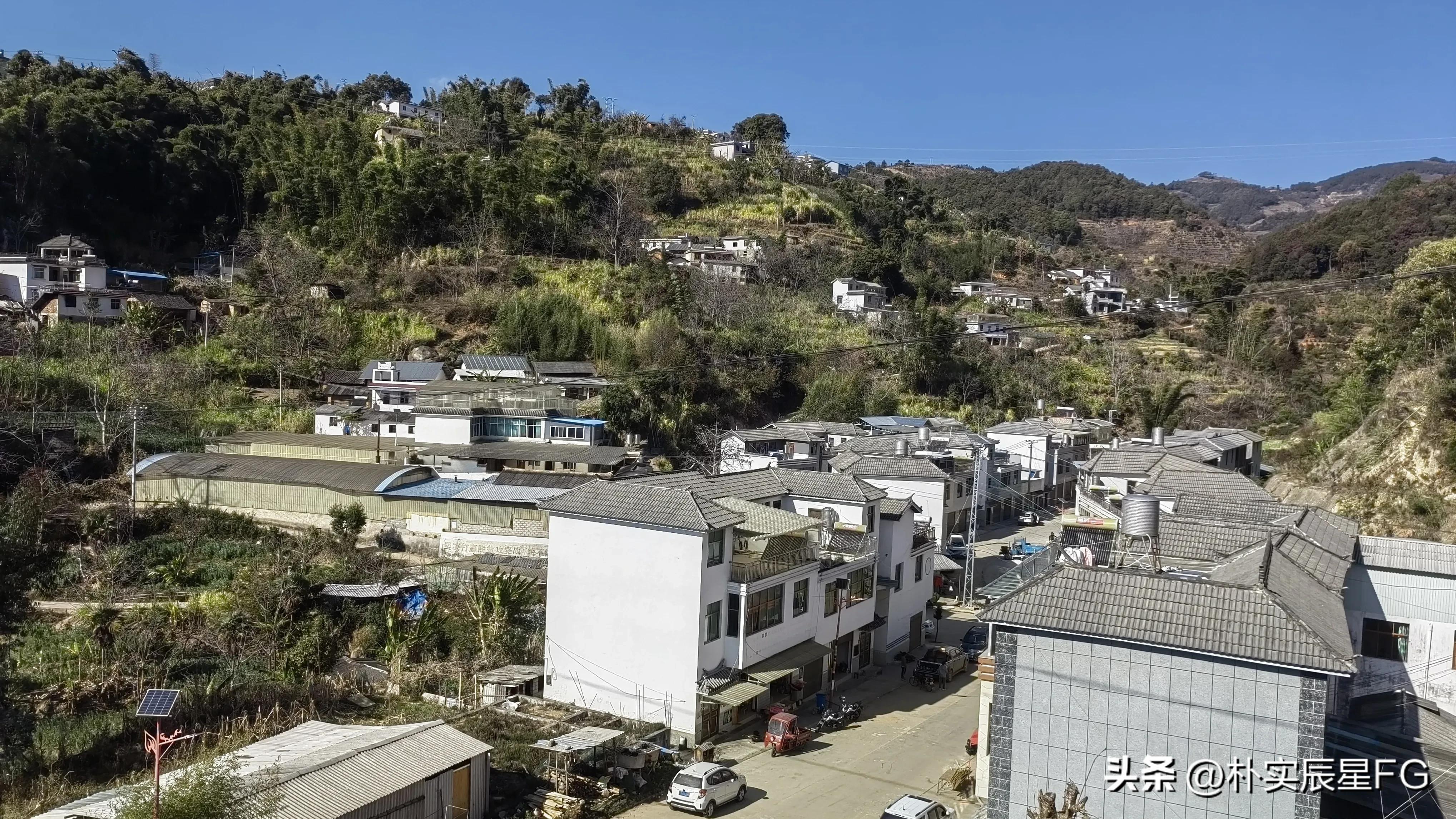 教育振兴与乡村振兴,乡村振兴产业振兴