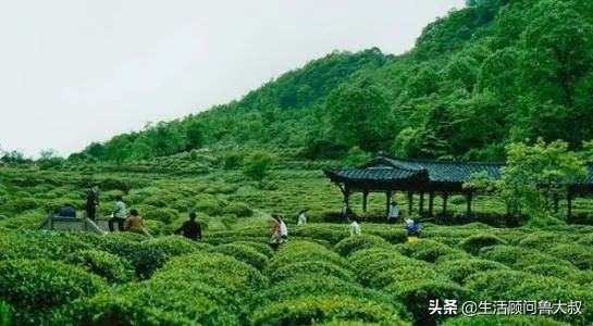 天府之国是该火一把了