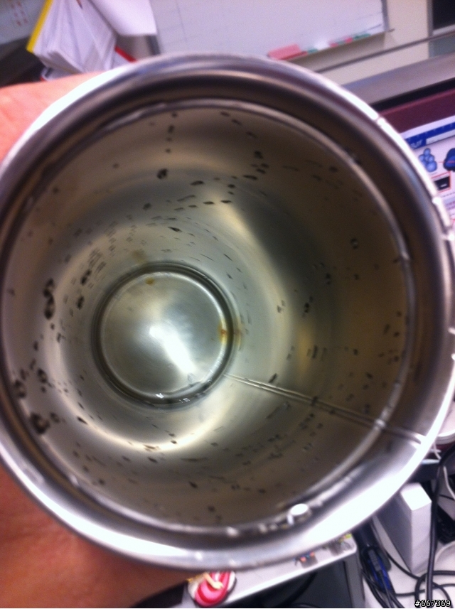 夺命鞋,央视曝光的夺命鞋有哪些