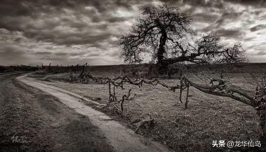 灵境ai绘画怎样选择风格,灵境ai作画app