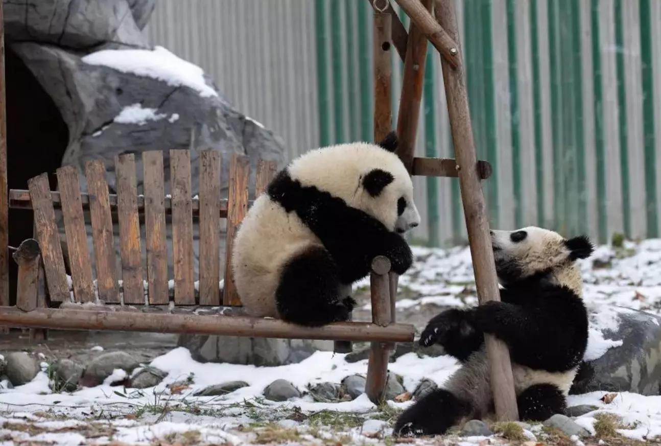 成都周边适合徒步的地方,成都徒步旅游免费景点