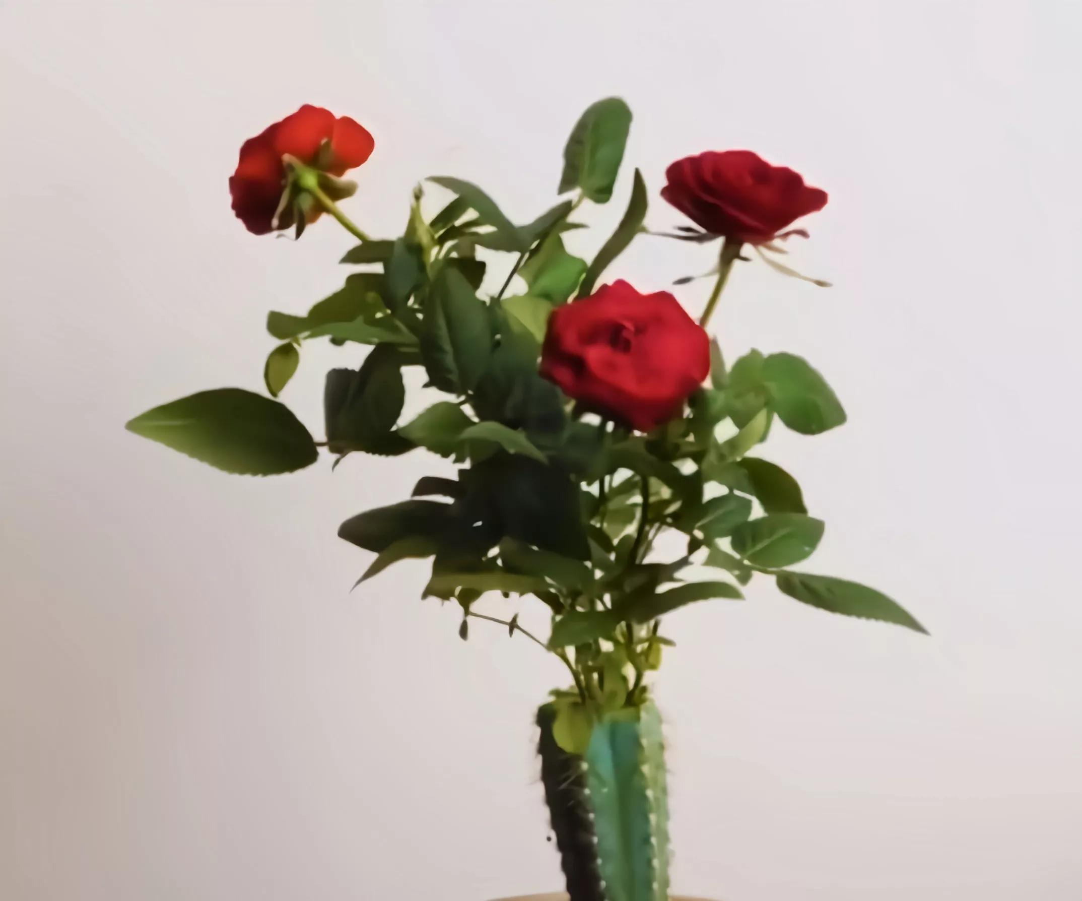 滴露消毒液把白色衣服染色怎么办,白色衣服和黑色一起染色了怎么办