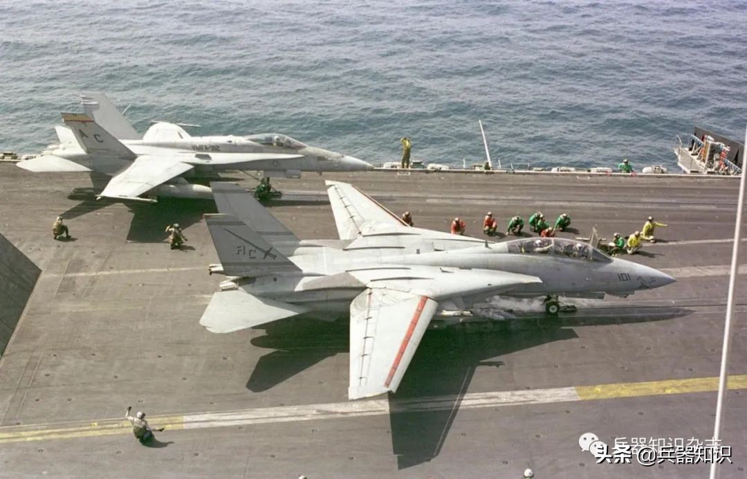 飞天的猫,飞天的猫和鱼