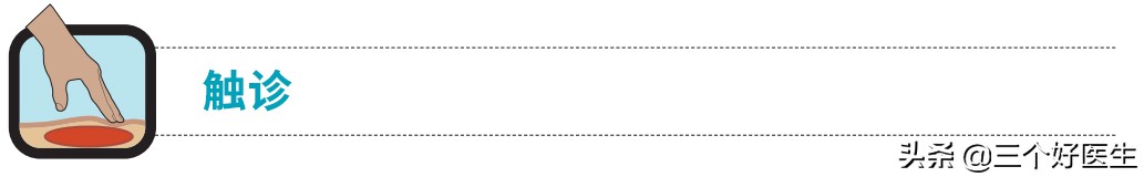 提上唇肌与颧小肌,颧小肌和上唇提肌怎么练