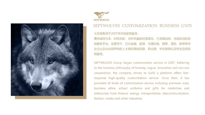 十大职业装品牌,中国职业装十大品牌