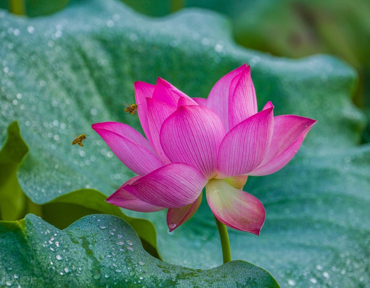 男人爱不爱你看你穿衣就知道,男人爱不爱你看他的态度就知道