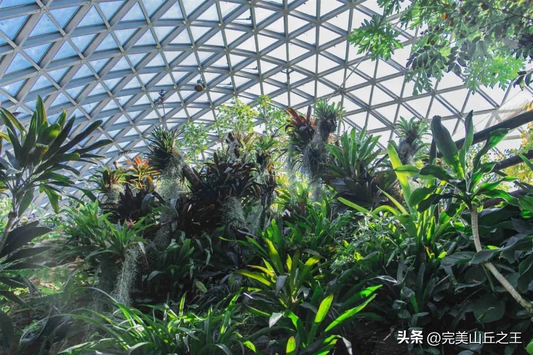 上海旅游18个景点攻略,上海周边有山的5a景区