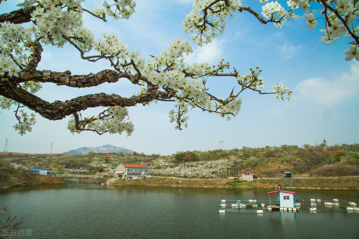 新人如何快速上千粉,怎样加入新人百粉互动计划