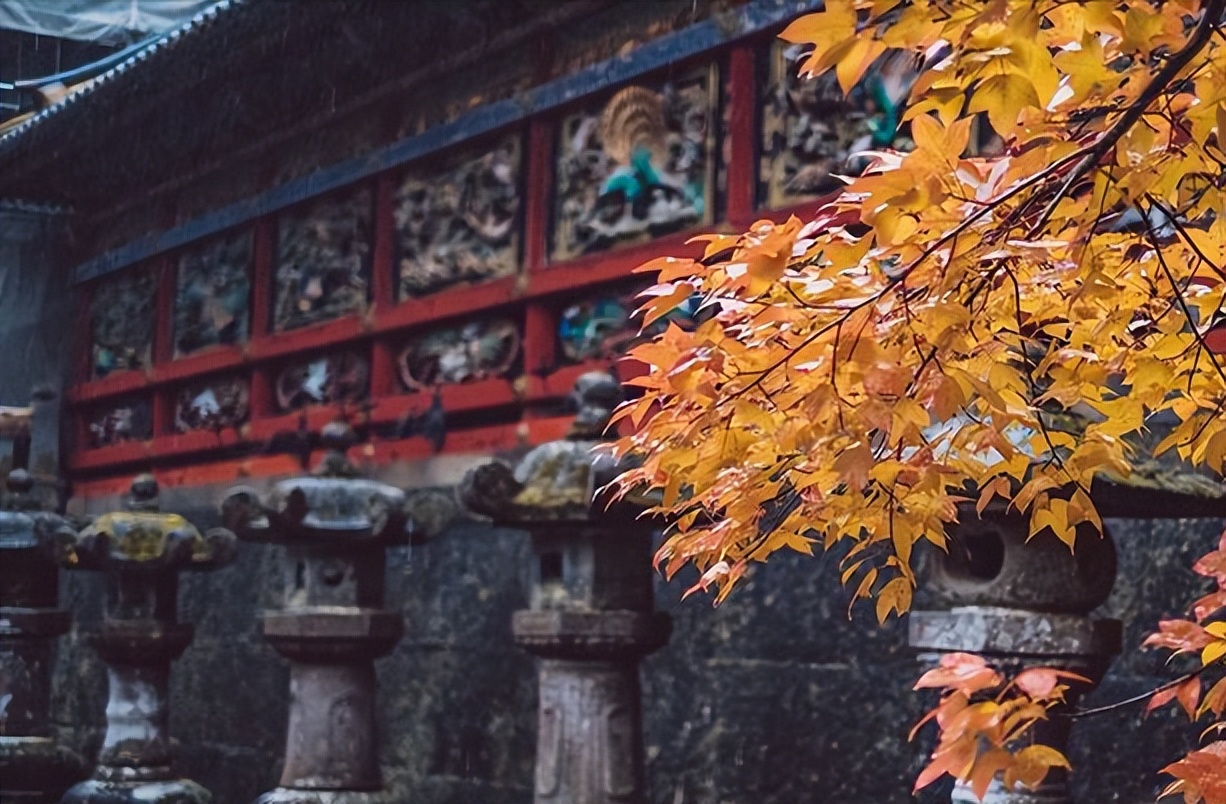 一文搞懂中药的命名,方丈和住持都是什么