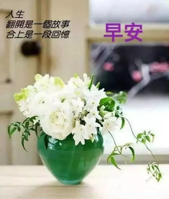 暖心图片表情包早上好,夏天炎热的早上好表情包