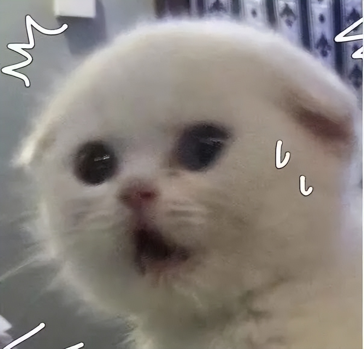 马斯克推特发文说拜登,拜登否认马斯克推特收购案