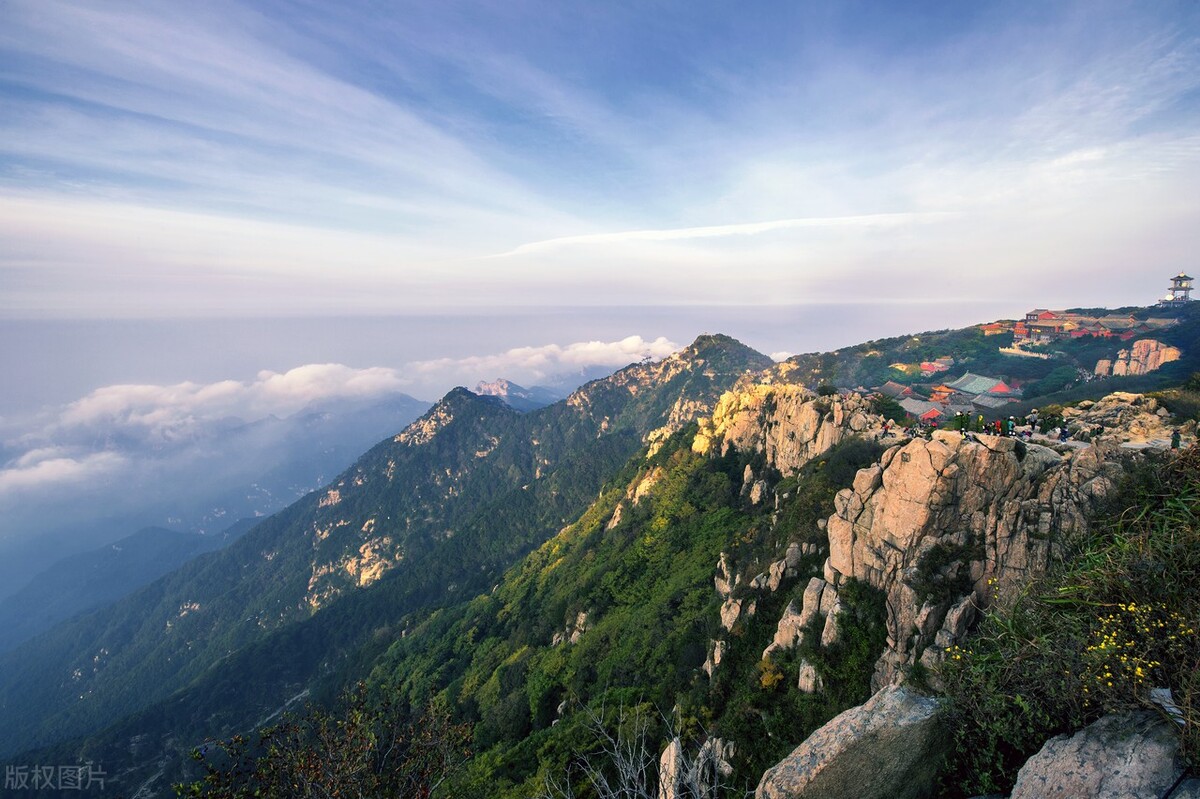 2020山东百强民营企业名单,山东百强民营企业各地市排名