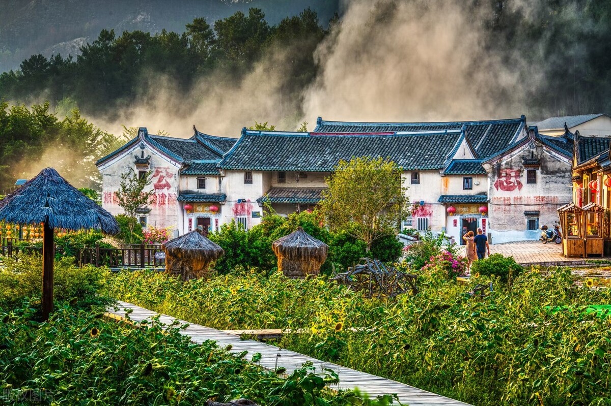 70后大叔放弃打工果断回家创业,23岁小伙辞职回农村创业