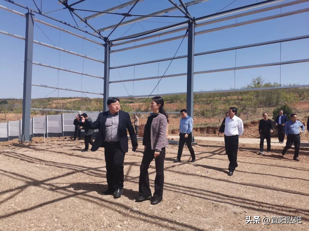 宜阳县克村乡村振兴,河南省辉县市乡村振兴