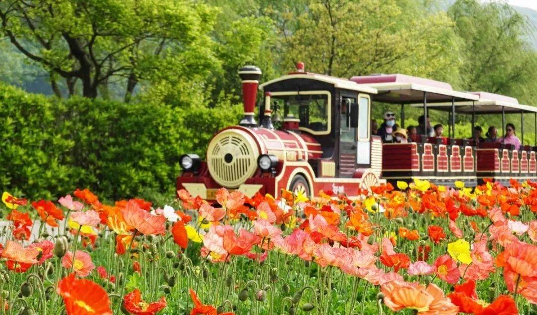 金坛非遗体验,非遗研学沉浸式体验非遗魅力