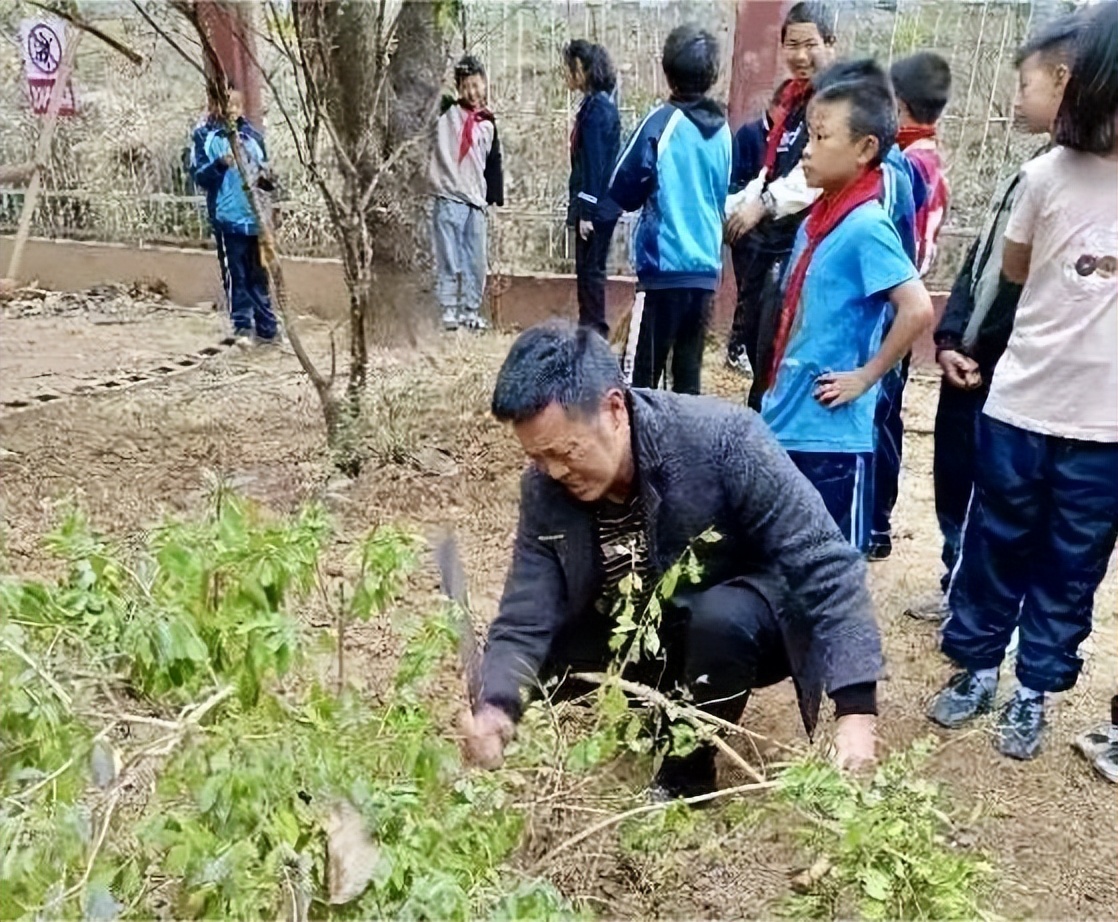 绿美太邑蔬香校园