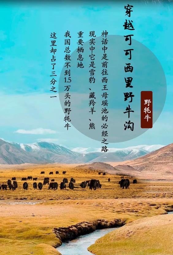 青海现在值得去吗,青海不容易去吗