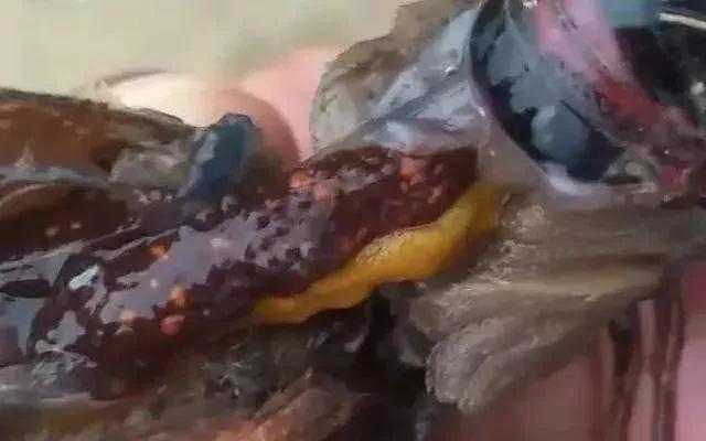 小龙虾是几月份开始产卵的,小龙虾有卵吗