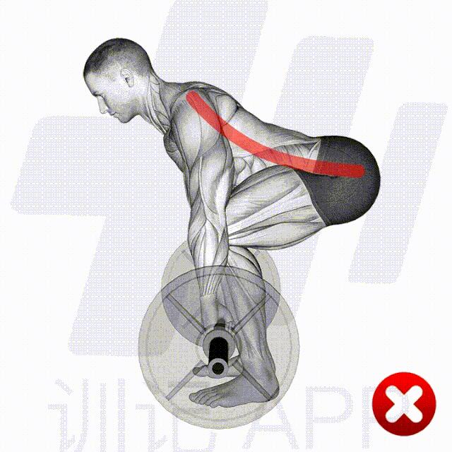 硬拉适合每个人吗,你的硬拉姿势做对了吗