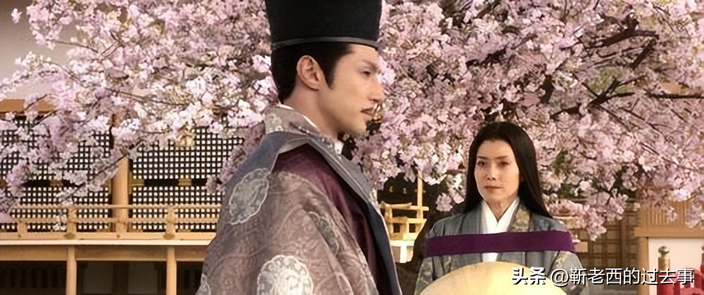 《源氏物语》女性悲剧研究著作,源氏物语书中的历史