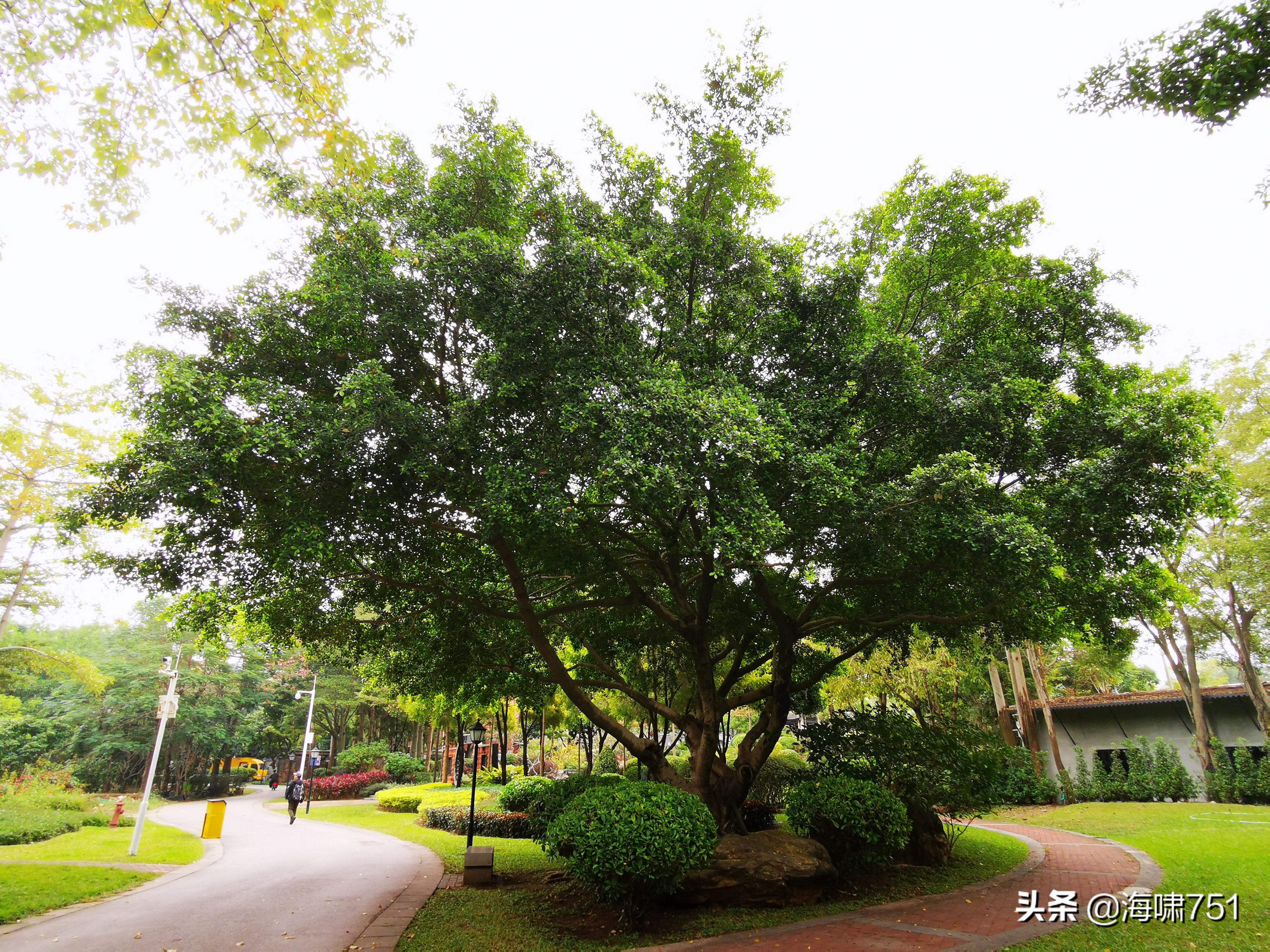 陈田花园全景图,陈田花园照片