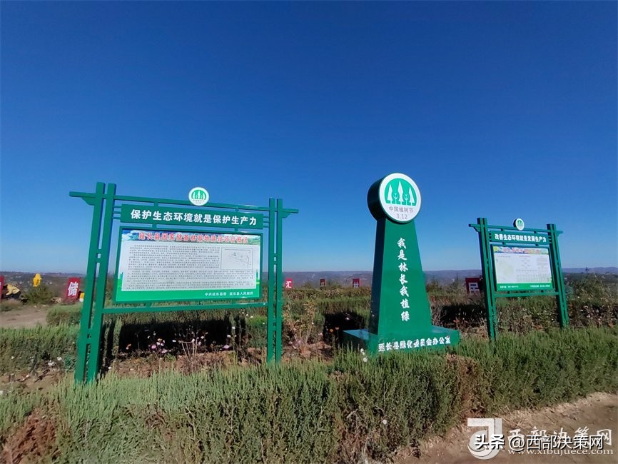 「黄河安澜·津润三秦」延长县储备生态、打造黄河流域生态保护和高质量发展“延长样本”