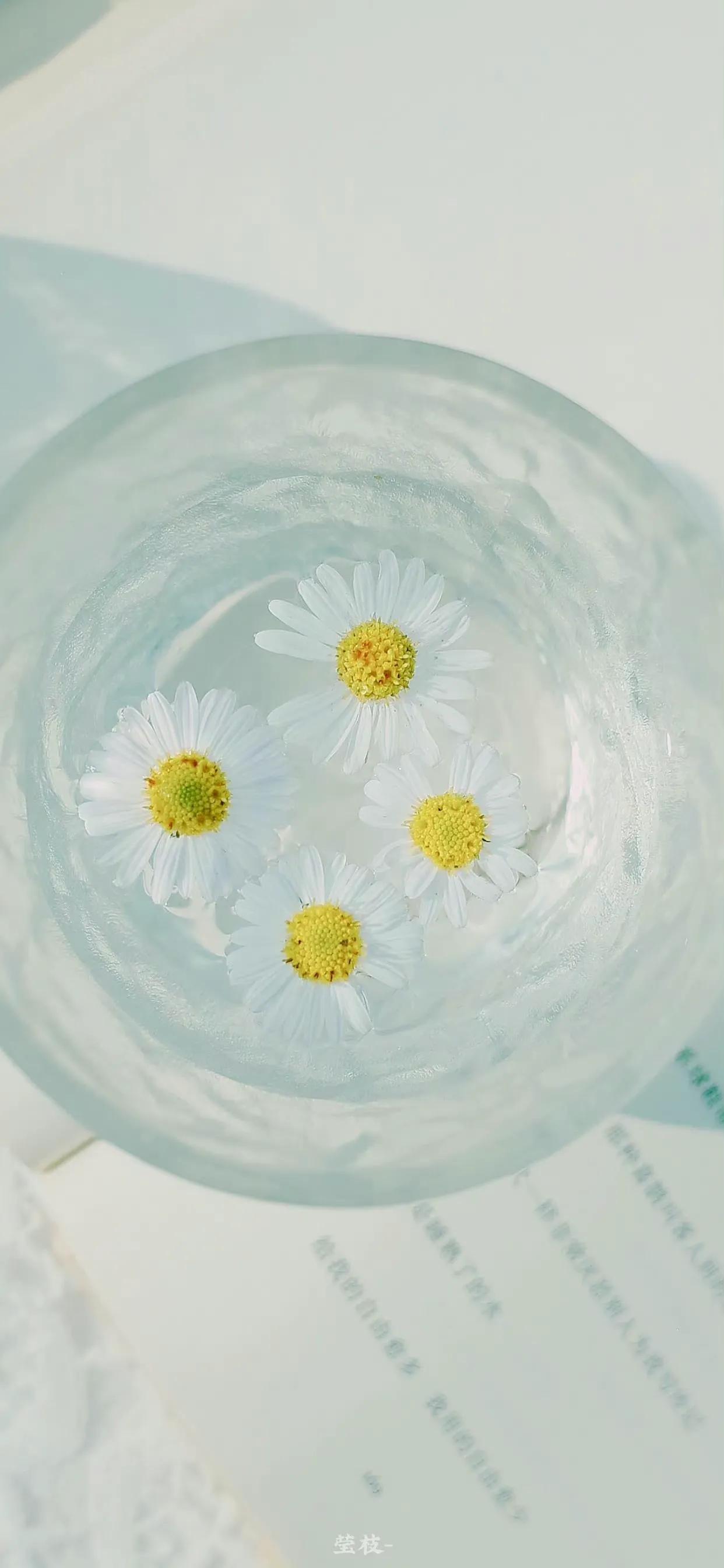 夏季清新凉快的壁纸高清,夏天一看就很凉爽的壁纸