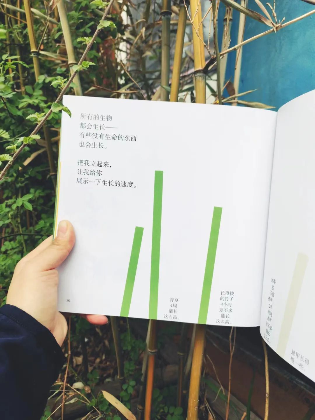 世界读书日推荐书籍一段话,世界读书日给孩子们推荐一本好书