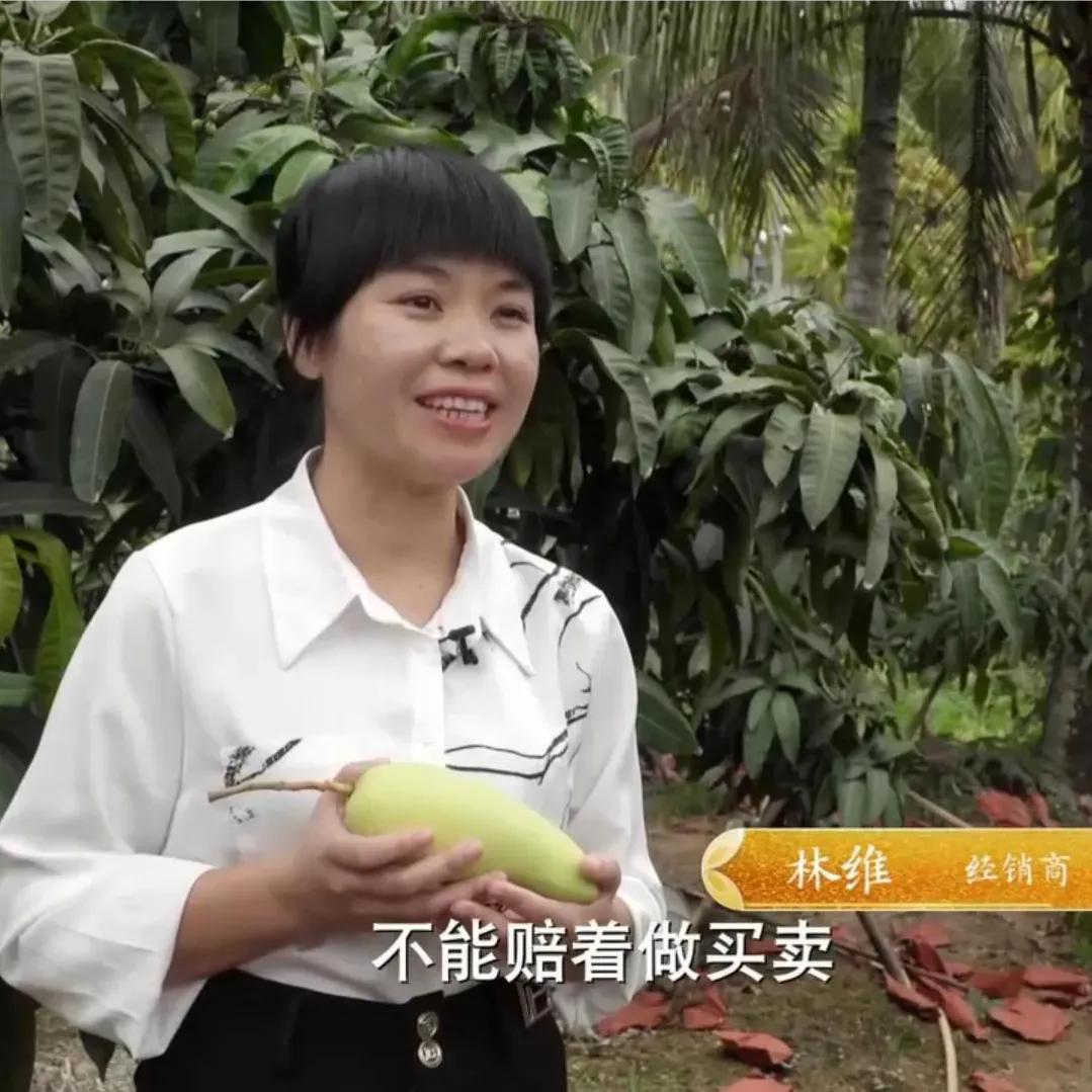 海南女子靠一种不被看好的芒果年入1000多万！人无我有，人有我精