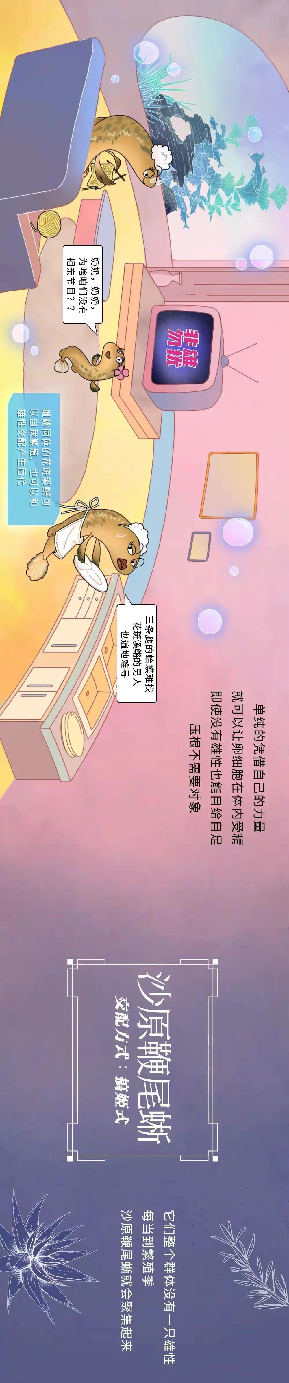 海陆空动物交配姿势对照表（严肃正经版）