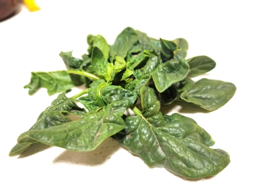 管控区解封的最新规定,管控日常花销的软件