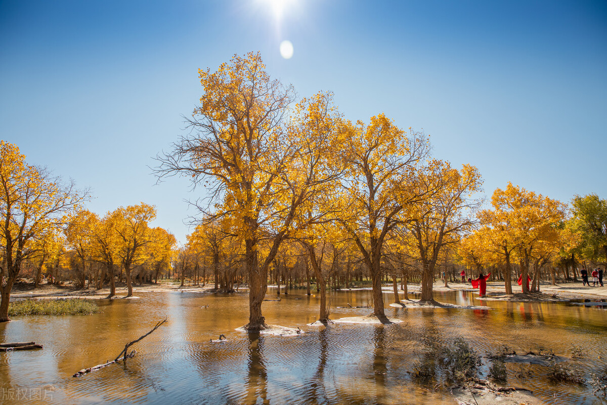 阿拉善旅游攻略必玩的景点地图,内蒙古阿拉善游玩攻略