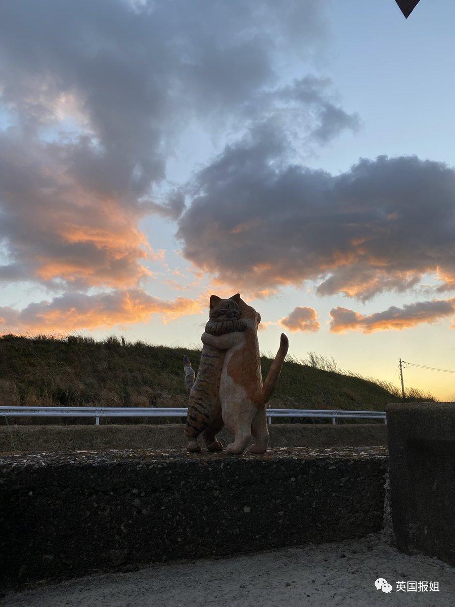 木头雕刻作品猫,手工雕刻木雕小猫