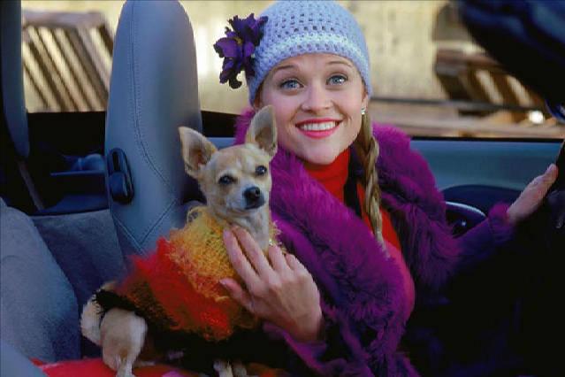 美国校园青春片,美国校园青春电影片段